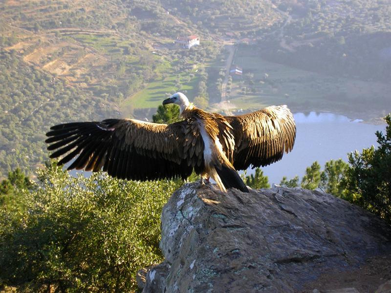 Penzion Quinta Das Arribas Abrantes Exteriér fotografie